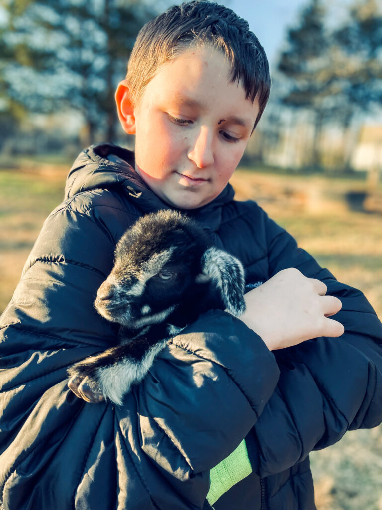 Jamie's grandson holding a baby goat.