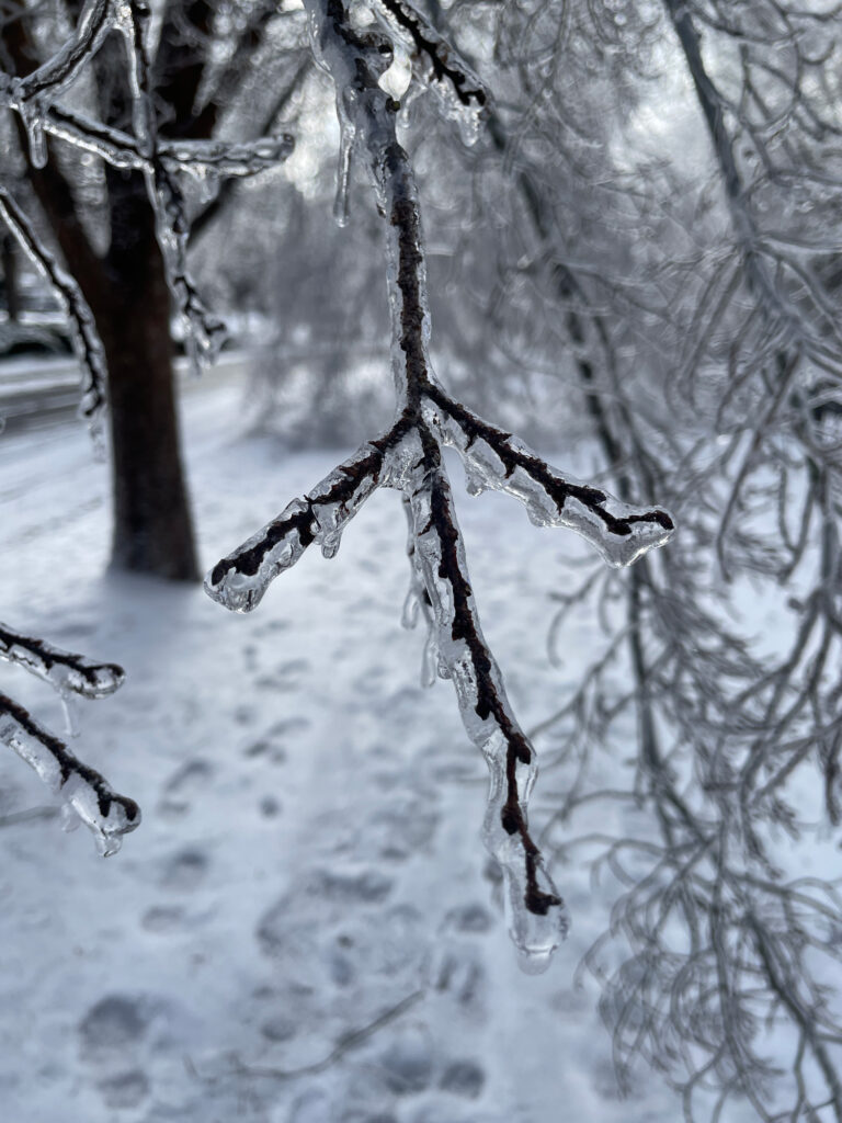 WINTER STORM NASHVILLE 2