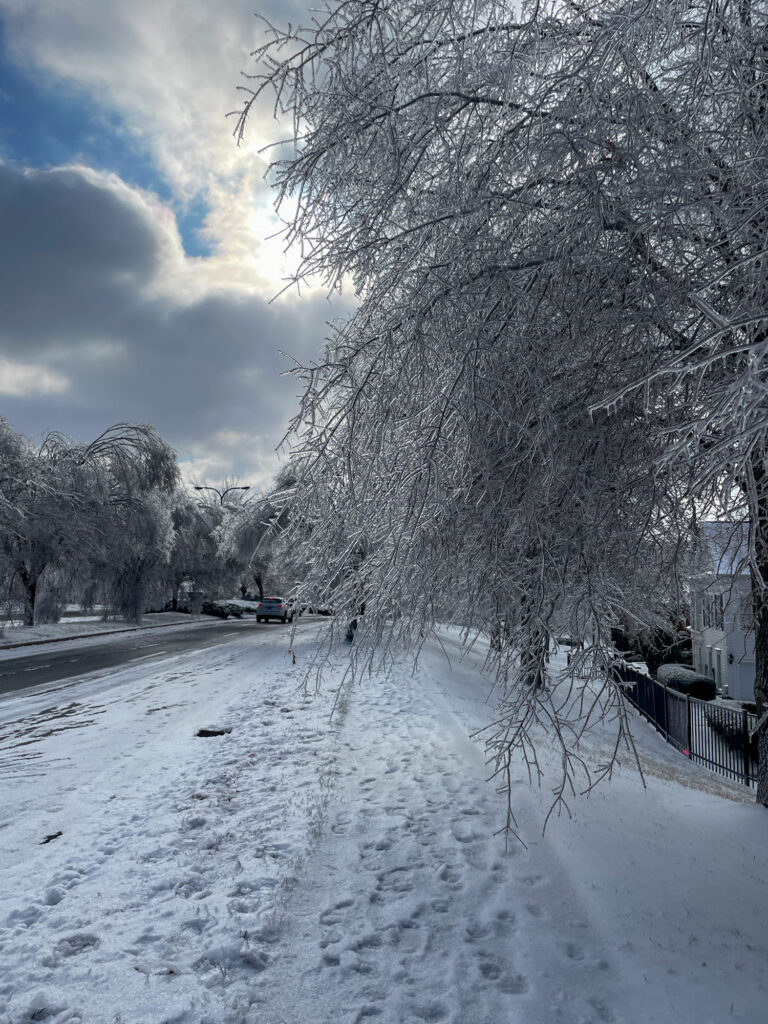 WINTER STORM NASHVILLE 3