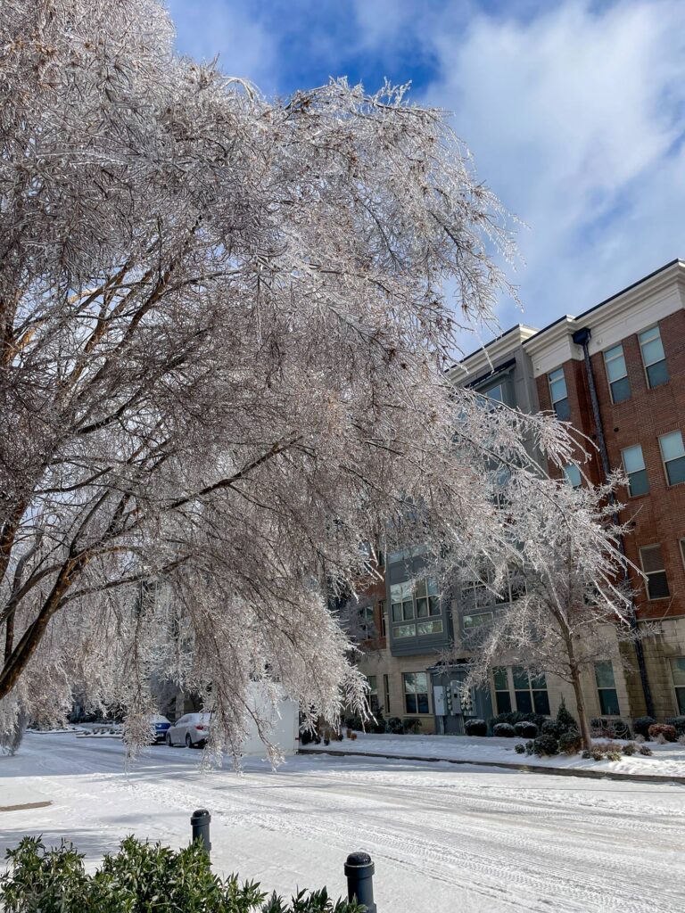 WINTER STORM NASHVILLE 7