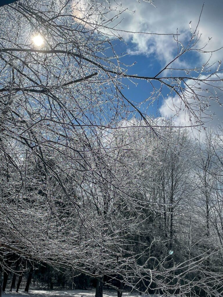 WINTER STORM NASHVILLE 8